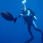 maldives083