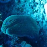 maldives098