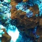 maldives099
