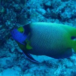 maldives128