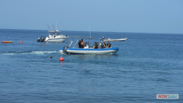 DSCN1474