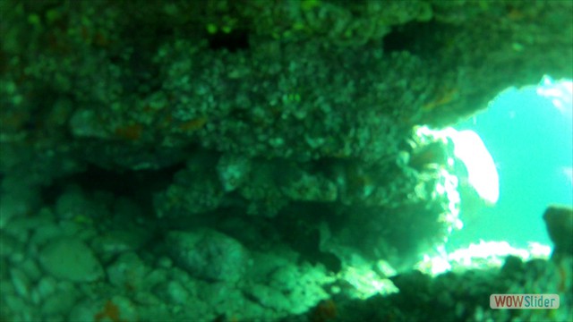 vlcsnap-2014-12-21-14h49m58s98