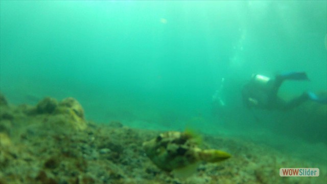 vlcsnap-2014-12-21-14h54m41s119