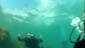 vlcsnap-2014-12-21-14h44m06s162