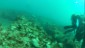 vlcsnap-2014-12-21-14h47m46s57