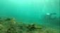 vlcsnap-2014-12-21-14h54m41s119