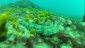 vlcsnap-2014-12-21-14h56m35s235